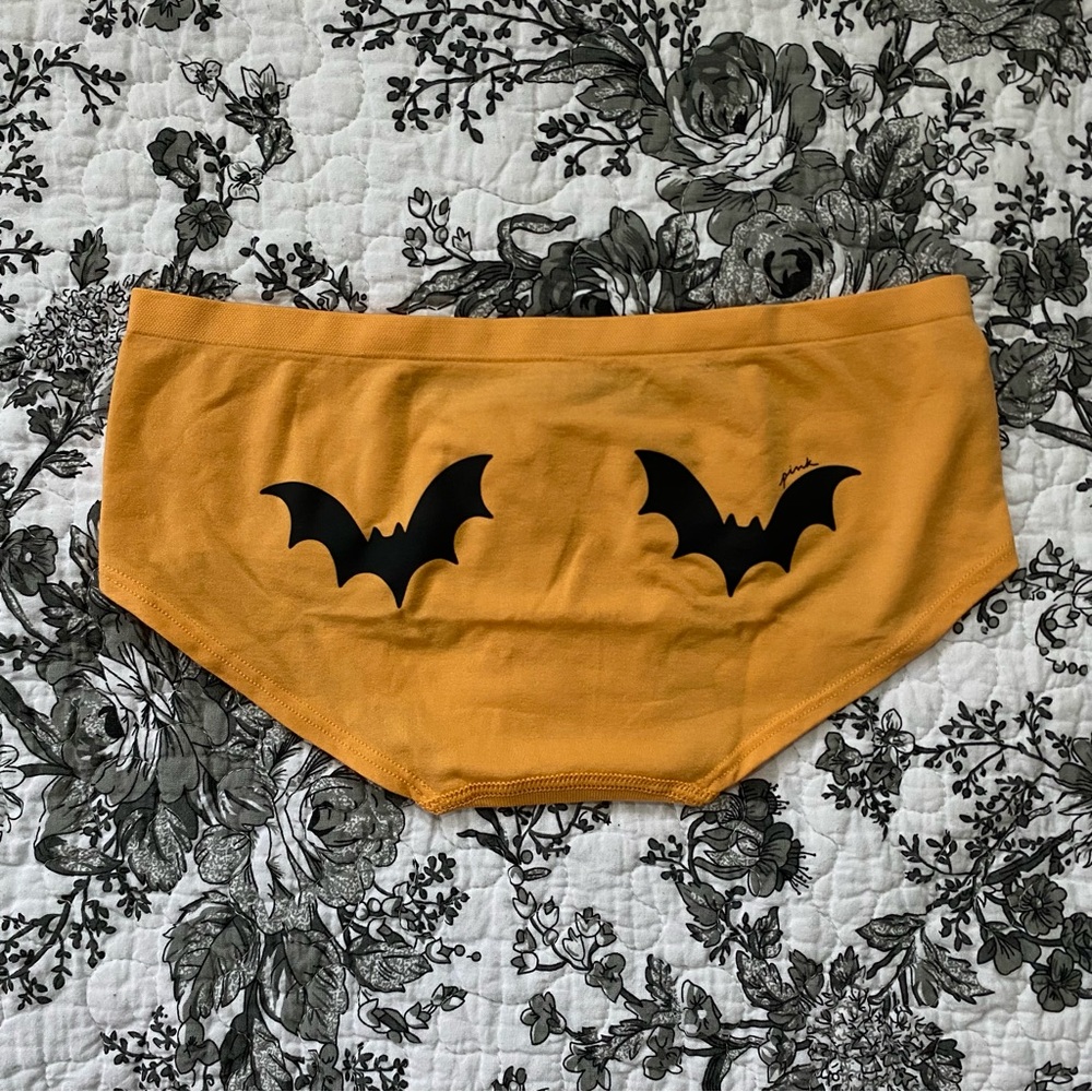 victoria's secret pink halloween hipster bikini style panties — size extra small
